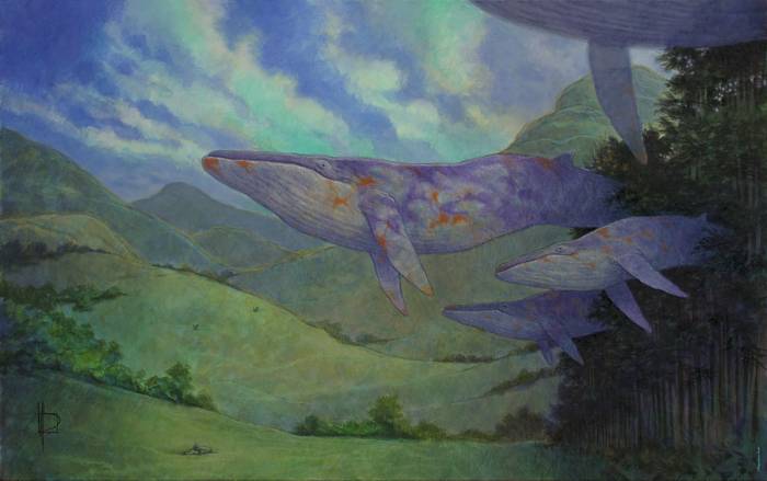 «Ardalén / The passage of the whales»